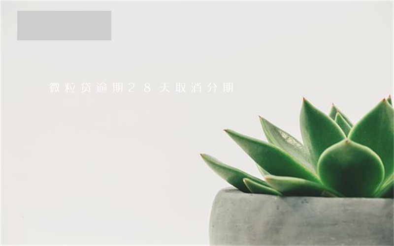 微粒贷逾期28天取消分期 微粒贷逾期28天取消分期