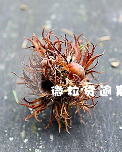 微粒贷逾期29天上门 微粒贷逾期29天上门