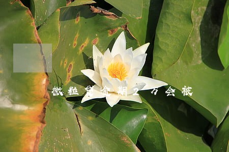 微粒贷逾期2万会被