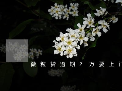 微粒贷逾期2万要上门 微粒贷逾期2万要上门
