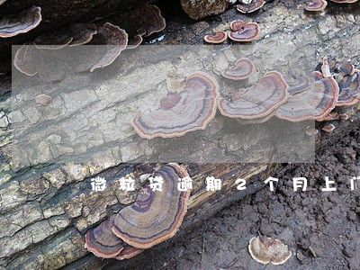 微粒贷逾期2个月上门会去吗 微粒贷逾期2个月上门会去吗