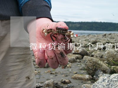 微粒贷逾期2个月他说要上门 微粒贷逾期2个月他说要上门