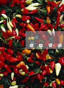 微粒贷逾期2个月催收加剧 微粒贷逾期2个月催收加剧