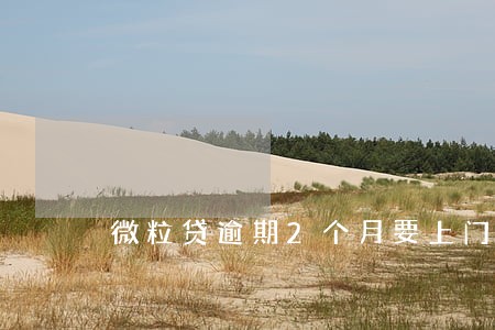 微粒贷逾期2个月要上门约谈 微粒贷逾期2个月要上门约谈