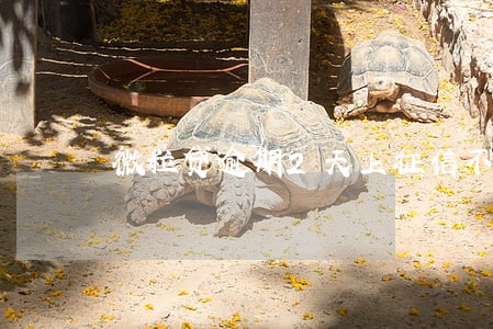 微粒贷逾期2天上征信不 微粒贷逾期2天上征信不