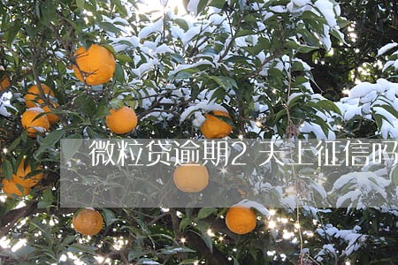 微粒贷逾期2天上征信吗 微粒贷逾期2天上征信吗
