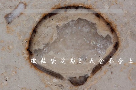 微粒贷逾期2天会不会上征信 微粒贷逾期2天会不会上征信