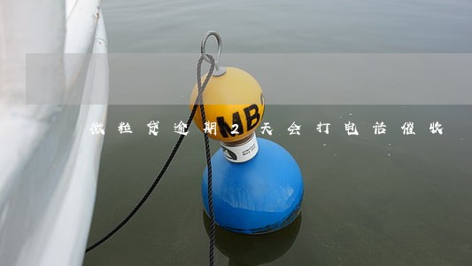 微粒贷逾期2天会打电话催收