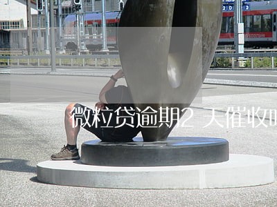微粒贷逾期2天催收吗