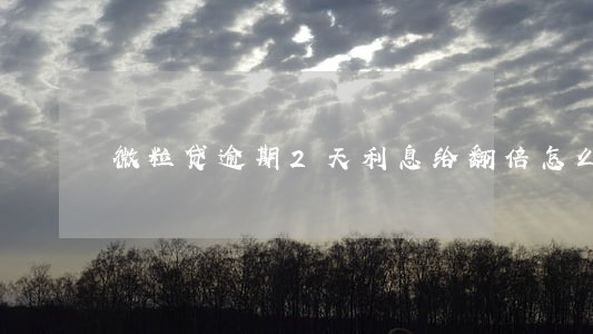 微粒贷逾期2天利息给翻倍怎么弄