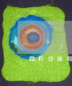 微粒贷逾期2天协商