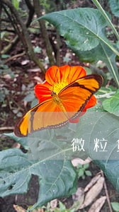 微粒贷逾期2天后果