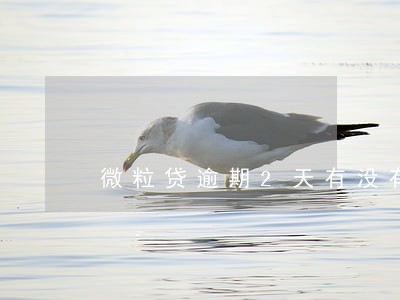 微粒贷逾期2天有没有宽限期