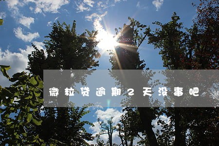 微粒贷逾期2天没事吧 微粒贷逾期2天没事吧