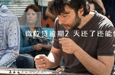 微粒贷逾期2天还了还能借吗 微粒贷逾期2天还了还能借吗