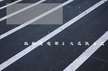 微粒贷逾期2天还款后无法借款 微粒贷逾期2天还款后无法借款