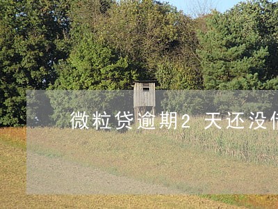 微粒贷逾期2天还没借款吗 微粒贷逾期2天还没借款吗