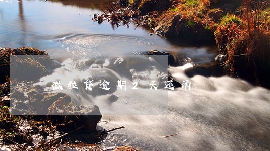 微粒贷逾期2天还清 微粒贷逾期2天还清