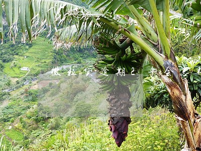 微粒贷逾期2年会怎样 微粒贷逾期2年会怎样