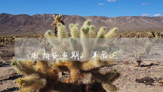 微粒贷逾期2年后还 微粒贷逾期2年后还