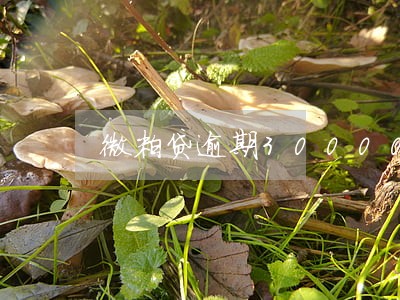 微粒贷逾期30000的短信 微粒贷逾期30000的短信
