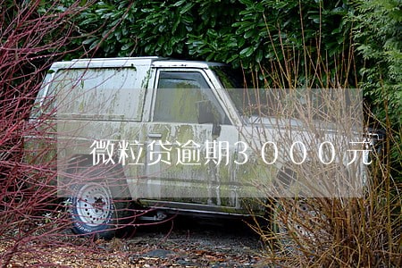 微粒贷逾期3000元 微粒贷逾期3000元