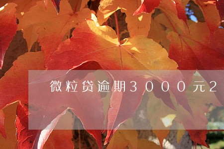 微粒贷逾期3000元2个月 微粒贷逾期3000元2个月