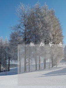 微粒贷逾期3000多会上门么 微粒贷逾期3000多会上门么