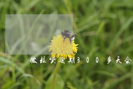 微粒贷逾期300多天会怎么办 微粒贷逾期300多天会怎么办