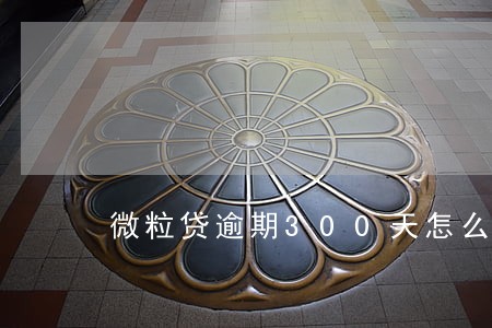 微粒贷逾期300天怎么协商 微粒贷逾期300天怎么协商