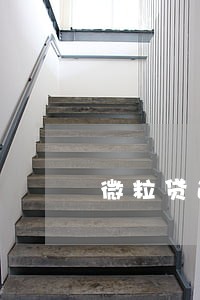 微粒贷逾期30万 微粒贷逾期30万