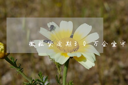微粒贷逾期30万会坐牢 微粒贷逾期30万会坐牢