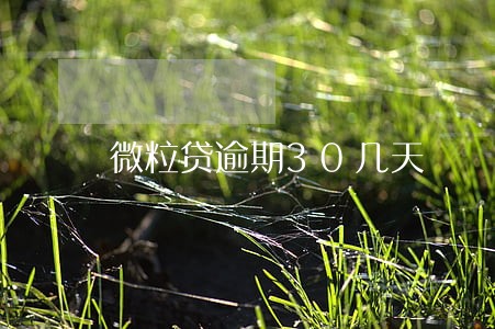 微粒贷逾期30几天 微粒贷逾期30几天