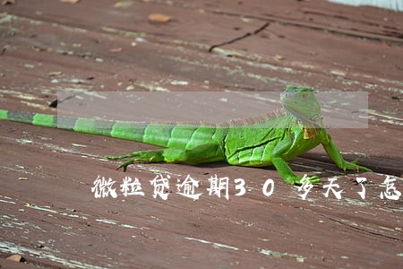 微粒贷逾期30多天了怎么办 微粒贷逾期30多天了怎么办