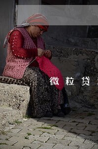 微粒贷逾期30天以上 微粒贷逾期30天以上