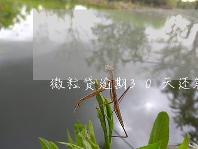 微粒贷逾期30天还能借 微粒贷逾期30天还能借