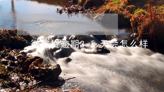 微粒贷逾期31天会怎么样 微粒贷逾期31天会怎么样