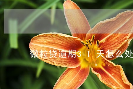 微粒贷逾期31天怎么处理 微粒贷逾期31天怎么处理