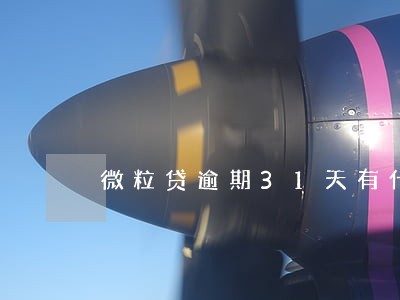微粒贷逾期31天有什么后果 微粒贷逾期31天有什么后果