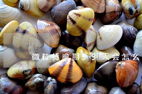 微粒贷逾期33天会怎么处理 微粒贷逾期33天会怎么处理