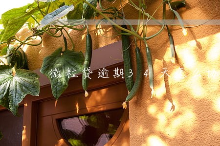 微粒贷逾期34天怎么协商 微粒贷逾期34天怎么协商