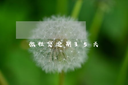 微粒贷逾期35天 微粒贷逾期35天