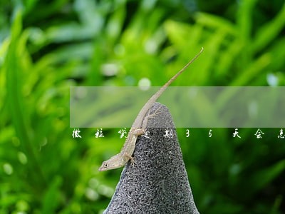 微粒贷逾期35天会怎么样 微粒贷逾期35天会怎么样