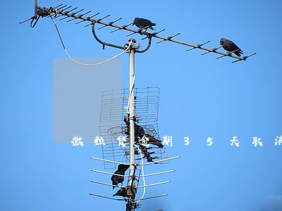 微粒贷逾期35天取消分期 微粒贷逾期35天取消分期
