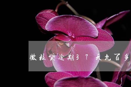 微粒贷逾期37天九百多 微粒贷逾期37天九百多