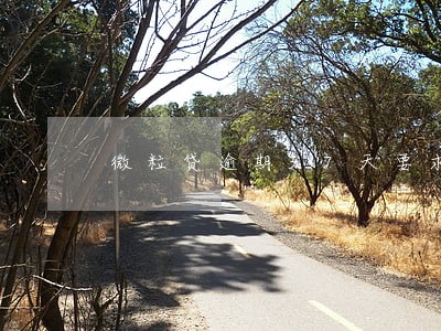 微粒贷逾期37天要求全款 微粒贷逾期37天要求全款