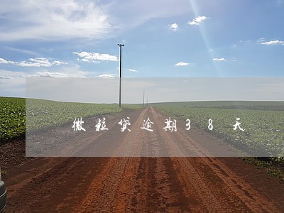 微粒贷逾期38天 微粒贷逾期38天