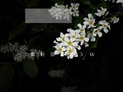 微粒贷逾期3W 微粒贷逾期3W