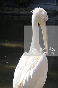 微粒贷逾期3万多会坐牢吗 微粒贷逾期3万多会坐牢吗