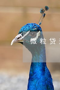 微粒贷逾期3万每月罚息 微粒贷逾期3万每月罚息
